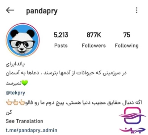 پیج اینستاگرام پانداپرای (pandapry) برای تبلیغات