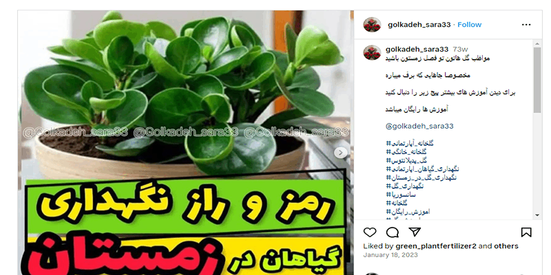 آموزش نگهداری از گل‌ها و گیاهان در فصل‌ها و فضاهای مختلف