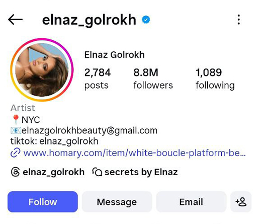 الناز گلرخ بیوتی بلاگر اینستاگرام